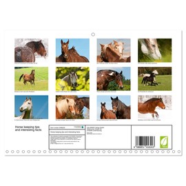 Horse keeping tips and interesting facts (Monthly Wall Calendar 2026 16.5" x 23.4" (open)), CALVENDO 14 Month Calendar