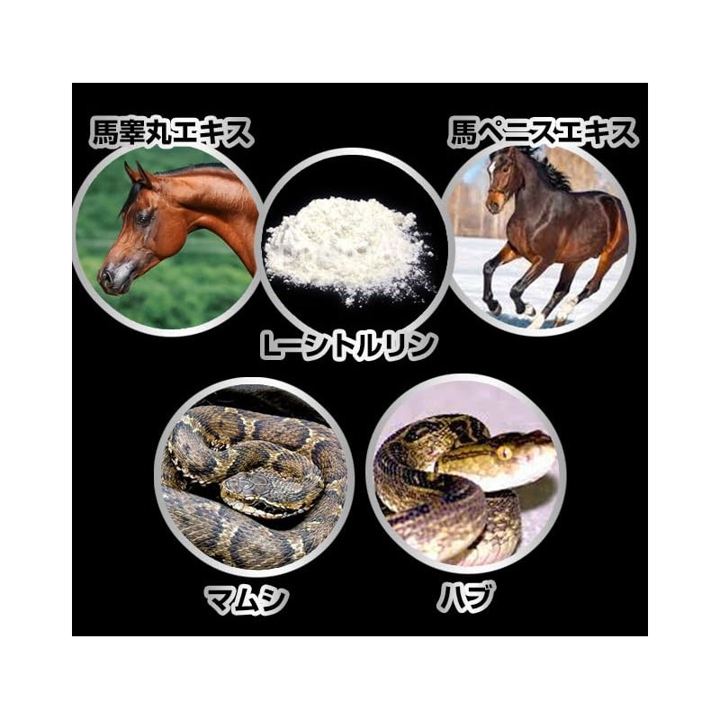 凝縮黒ウコンDEXα ブラックジンジャー 黒マカ シトルリン マムシ ハブ 馬睾丸 内容量90粒 30～45日分 サプリメント