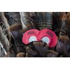 Strut Commander Turkey Mouth Call | Must Have Hunting Accessory