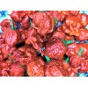 Fresh Carolina Reaper seeds | World Record Holder | SUPER-HOT