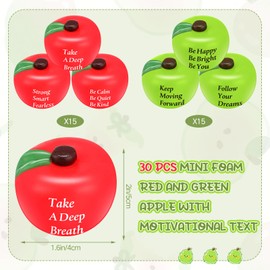 Blulu 30 Pcs Motivational Fruit Stress Ball Toys Inspirational Fruit Stress Relieve Toys Soft Foam Balls for Teens Adults Finger Exercise Anxiety Relief School Reward Gifts Party Favor Supplies