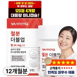 Vitamin Village Iron Double Up Mini Iron Tablet, 120 Tablets, 3 Pieces / 비타민마을 철분 더블업 미니 정제형 철분제, 120정, 3개
