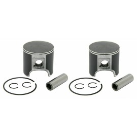 SPI 2000 Ski-Doo Formula Z 600 SPI Pistons Bearings Gaskets Top End Rebuild Kit 76mm