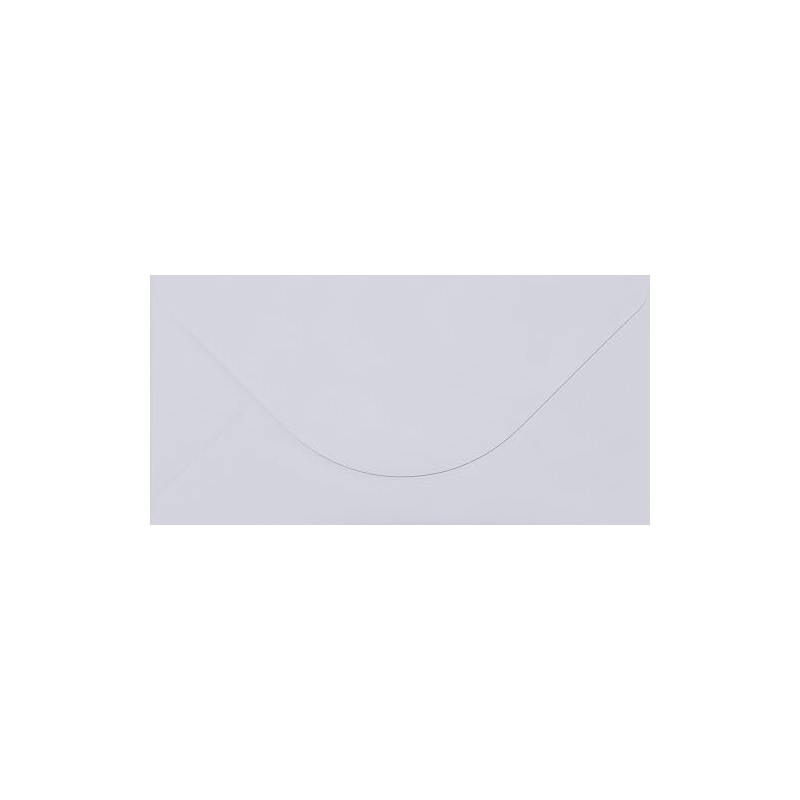 DL - Long 110mm x 220mm White Envelopes x 10