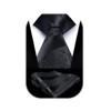 HISDERN Black Ties for Men Paisley Floral Men's Necktie &