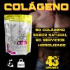 Colágeno Hidrolizado Biotina 500g Sin Sabor 43 Supplements