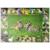 MyPuzzle Bunnies & Rabbits - Collage No. 5 - Premium