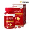 Immune Care Red Propolis Chewable 60 Capsules / 면역케어 레드프로폴리스 츄어블 60캡슐