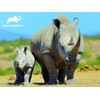 Animal Planet AP13791 Rhinocers 63 Pieces Rhinoceros 3D Effect Jigsaw