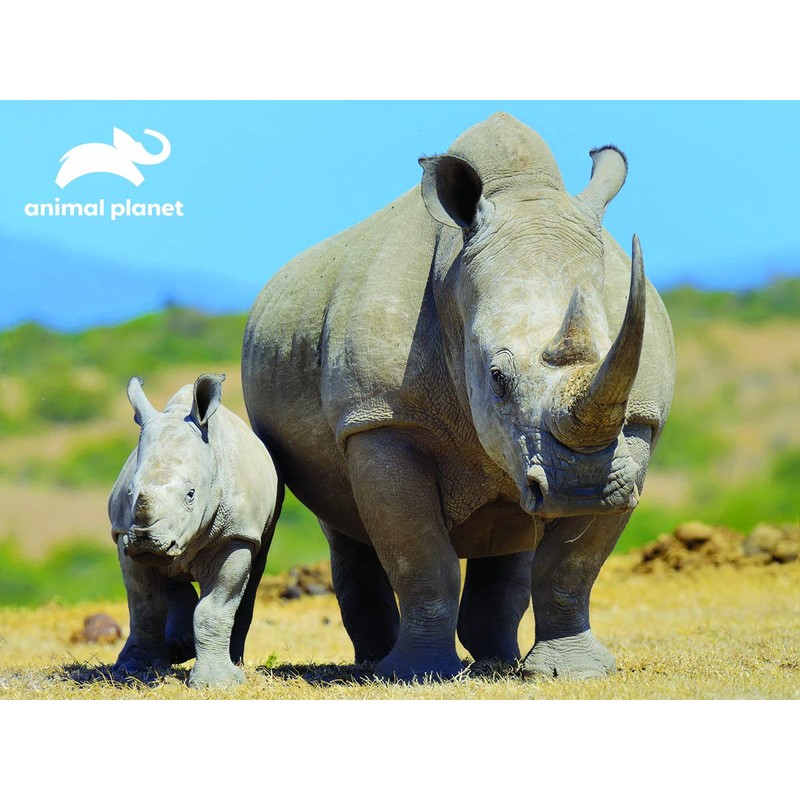 Animal Planet AP13791 Rhinocers 63 Pieces Rhinoceros 3D Effect Jigsaw