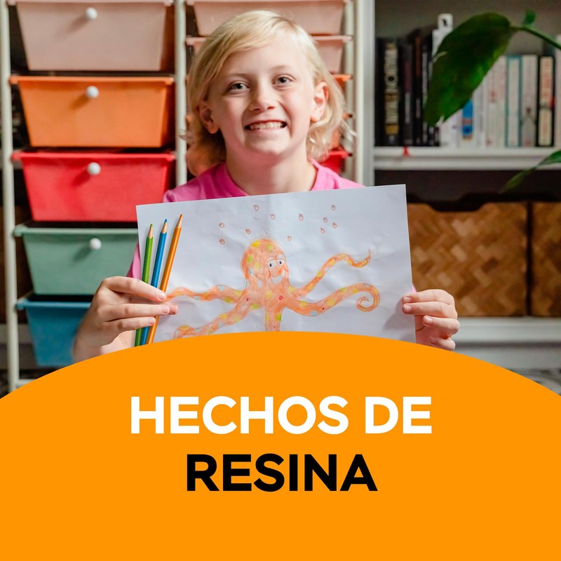 BIC Lápices de Colores Evolution Triangular Hecho de Resina No