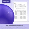 APEXUP Yoga Ball Exercise Ball, Pilates Ball, Anti Slip Stability
