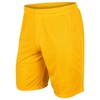 CHAMPRO Dynamic Tricot Mesh Shorts, 7" Inseam, Gold