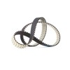 Dayco 94885 Strap Distribution