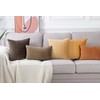 MADIZZ Set of 2 Super Soft Velvet Decorative Throw Pillow
