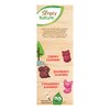Simply Nature Organic Mixed Berry Fruit Snacks, 9.6 oz (Pack