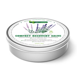 Organic Comfrey Recovery Salve | Joint & Skin Support for Active Recovery | Plant-Powered, 1.2 oz