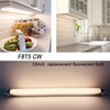 Accway (6 Pack) F8T5/CW 4100K 12’’ Linear Fluorescent Light Bulb,