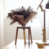 Ostrich Feather Duster 35 cm Ostrich Duster with Wooden Handle