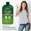 First Botany Tea Tree Mint Shampoo & Conditioner for Men