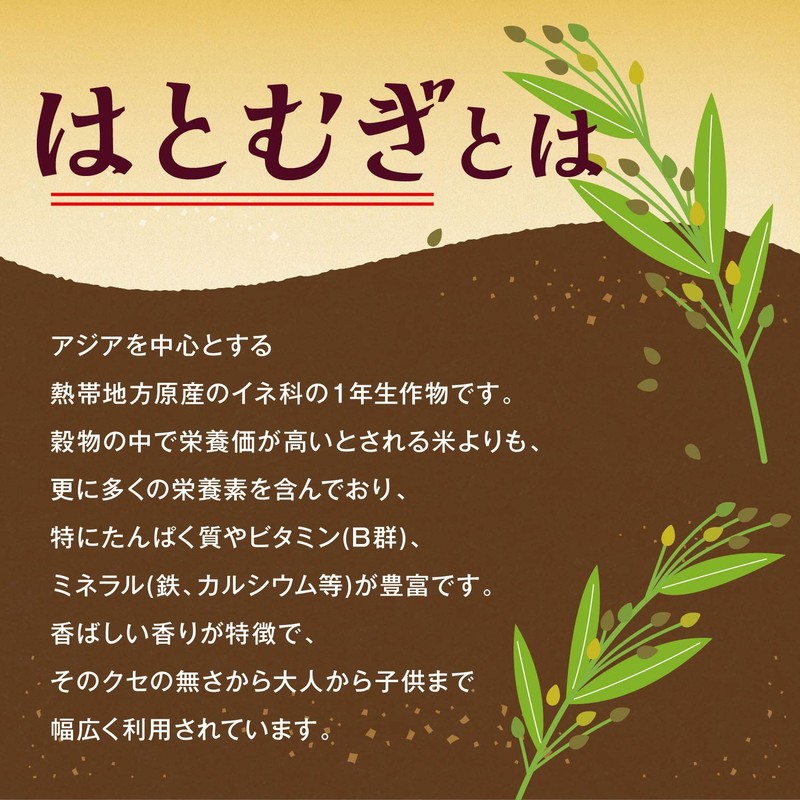 Orihiro 100% Japanese Hatomugi Tea, 0.2 oz (5 g) x