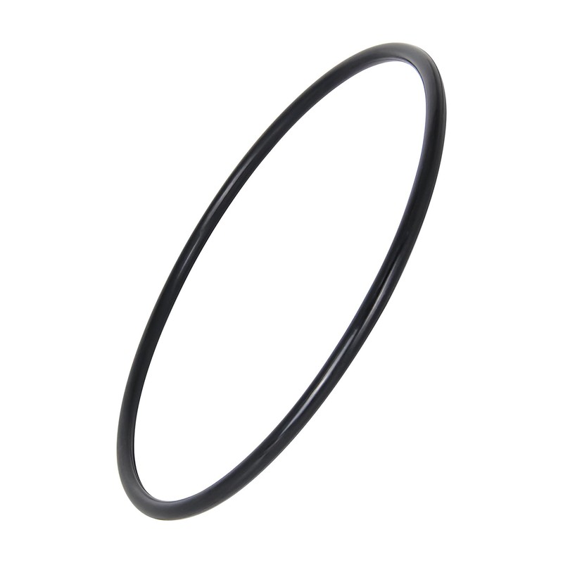 Koatukys 350013 350013Z Lid O-Ring Fit for Pentair WhisperFlo IntelliFlo