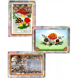 Acrylic Merry Mushroom Theme Acrylic Magnet - Approx. 1.5" x 2" - Set of 3
