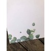 Letter Paper Eucalyptus DIN A5 I 100 Letter Sheets