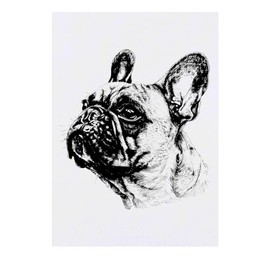 'French Bulldog Portrait' Temporary Tattoo - Water Resistant, Skin-Safe, Non-Toxic Transfer (TO00070473)