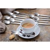 GRÄWE POESIE Dessert Spoons / Coffee Spoons 12 Pieces Stainless