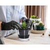 D'vine Dev 4 Inch Design Self Watering Planter for Indoor