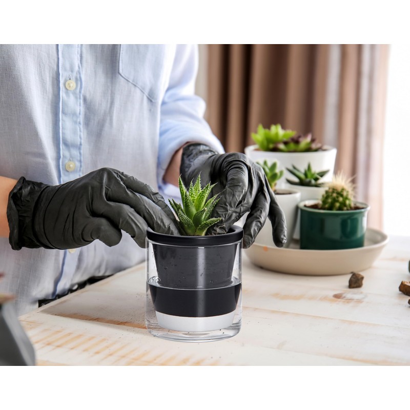 D'vine Dev 4 Inch Design Self Watering Planter for Indoor