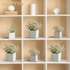NUPTIO Wooden Box for Centerpiece Wedding: 12 Pcs Rustic Square