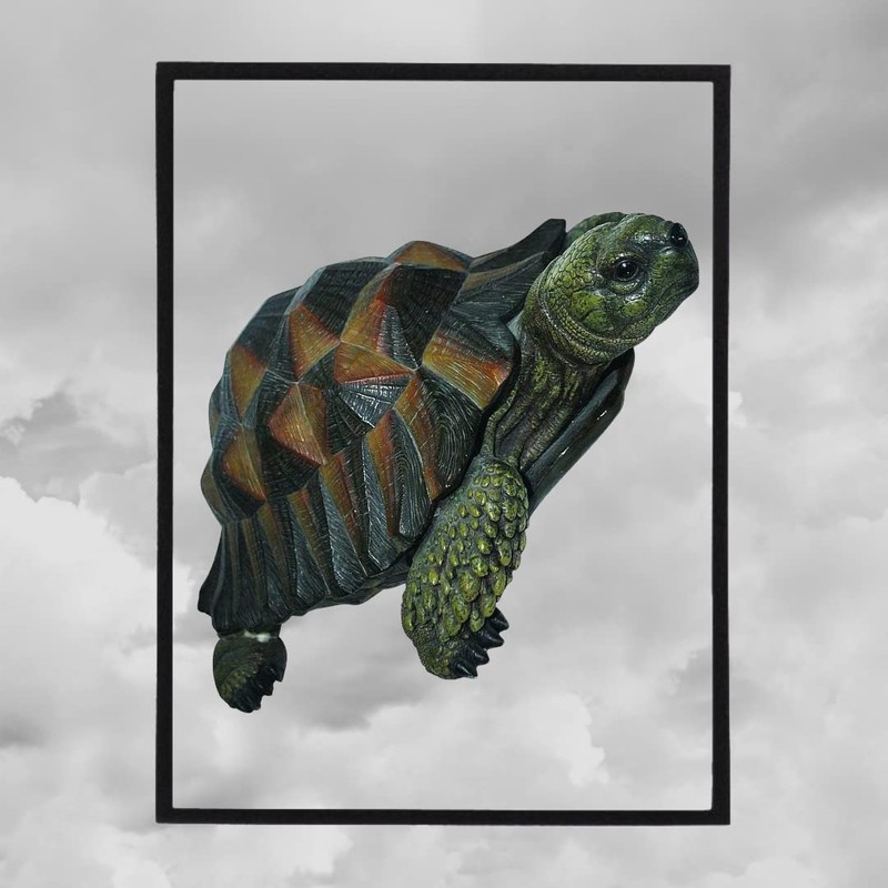 Props4shows Vivid Arts Tortoise - 17cm