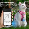 Cat Harness and Leash for Walking, The Upgrade Can be