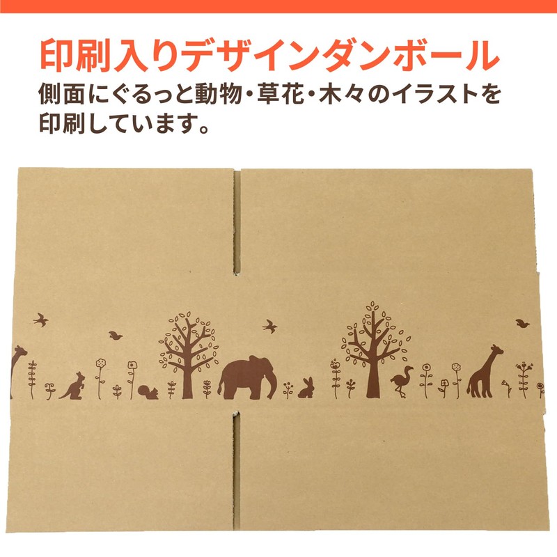 Earth Cardboard, 60 Size, B5, Set of 120, Design Box,
