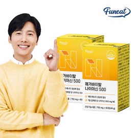 Mega Vital High-Concentration Niacin Vitality Vitamin B 500mg 2 Boxes (4-Month Supply) / High-Purity 99.9% Niacinamide / 메가 바이탈 고함량 나이아신 활력 비타민B 500mg 2박스 (4개월분)  고순도 99.9% 나이아신아미드