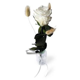 Preserved Rose with Vase - Real Eternal Rose at Least 3 Years Shelf Life - Short Rose with Stem Height 26 cm - Stylish Decoration with Infinity Rose - Gift for Any Occasion - Made in Germany (White)