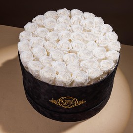 Prifroti 47 Flowers in a Luxury Suede Box, Birthday Gifts for Women, Preserved Flowers, Mothers Day Roses Gift for Mom, Pure White
