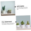 VICASKY 3pcs Plastic Flowerpot Water Trays Rectangular Potted Plant Bases