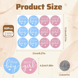 Shimmeroo 60Pcs Gender Reveal Stickers,Team Boy or Girl Labels Stickers Gender Reveal Decoration Ideas Party Supplies(Pink,Blue)