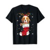 Santa Hat Havanese Puppy Dog In Socks Xmas Tree Lights