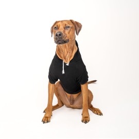 Happy Easter Dog Hoodie | Fleece Lined |Leash Hole| Easter Bunny | Egg Hunt| Funny Outfit Prop Photoshoot|Black, 3X-Large (74)