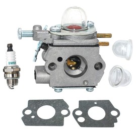 Carburetor for MTD RM2510 RM2560 RM2570 RM2520 RM2700 M2500 RM2599 RM2750 H2500 BL110 BL160 H25B RM125 RM2510 RM2560 RM125 Walbro WT-973 WT-1116