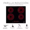 Nube Parrilla Electrica De Induccion 4 Quemadores Magnetica Nube