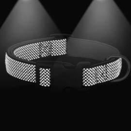 Didog Reflective Dog Collar with Buckle Adjustable Soft Neoprene Padded Nylon Pet Collars for Small Medium Large Dogs, Black, S
