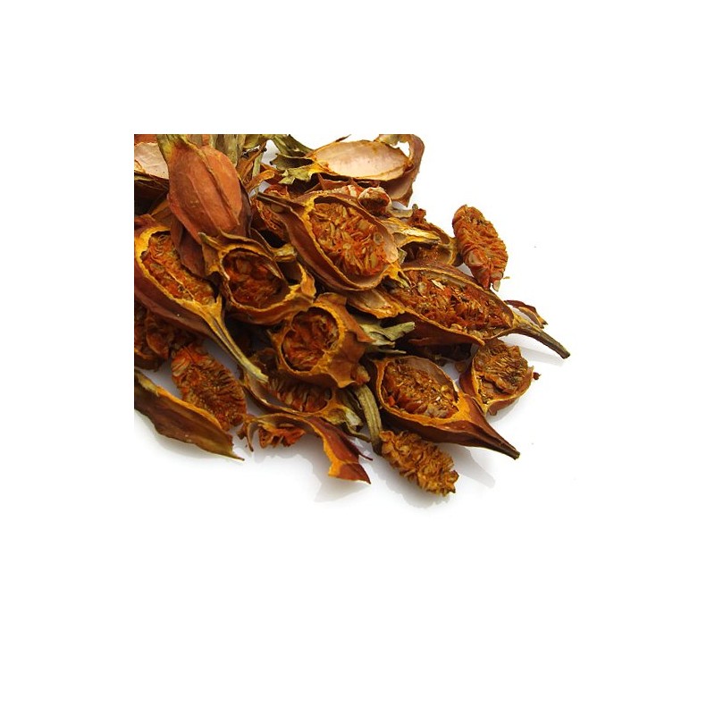 Dried Fruit: Gardenia Jasminoides / Chee Ja / 3oz /