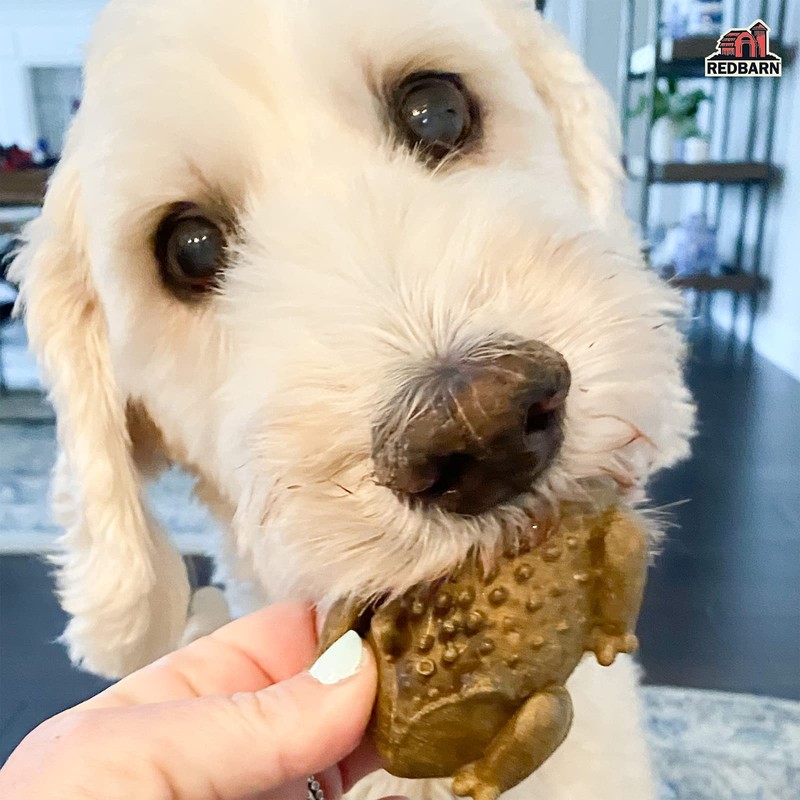 Redbarn Chew-A-Bulls (Size: Medium | Shape: Toad | 12-Count (Case