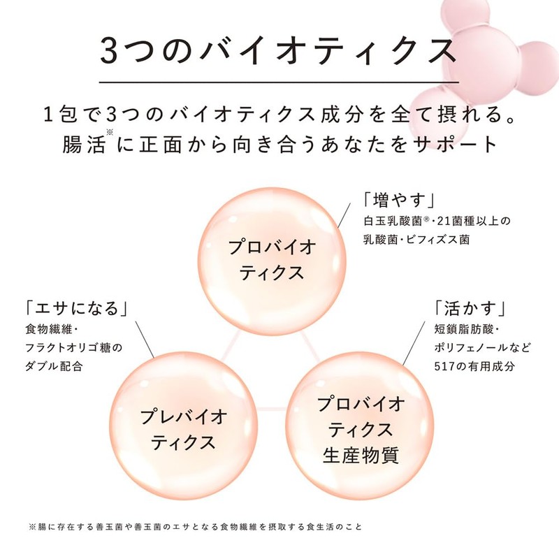 ドクターズナチュラルレシピ 美容乳酸菌サプリメント 14包 粉末 個包装 28種・520億個の乳酸菌