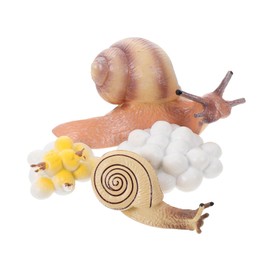KOMBIUDA Realistic Snail Growth Cycle Models Early Learning Toys for Boys and Girls Snails Life Cycle Figurines Animal Evolution Simulated Toys
